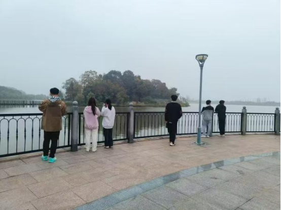 1732875496225355.png image.png
