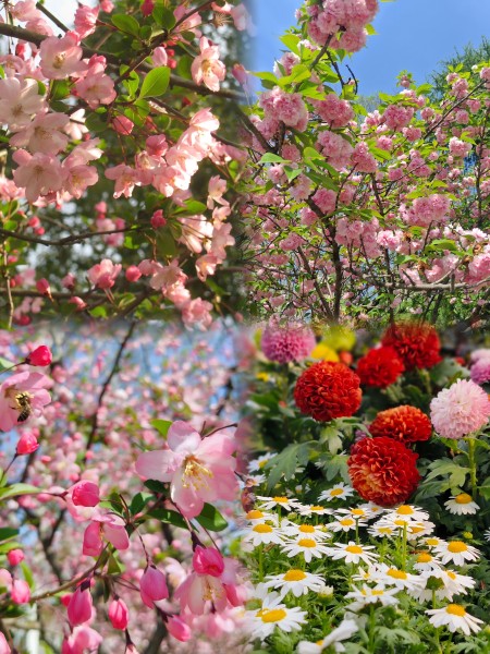 07d96298b059111e39ea3833382cefa(1).jpg